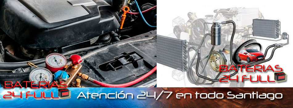 Quienes Somos